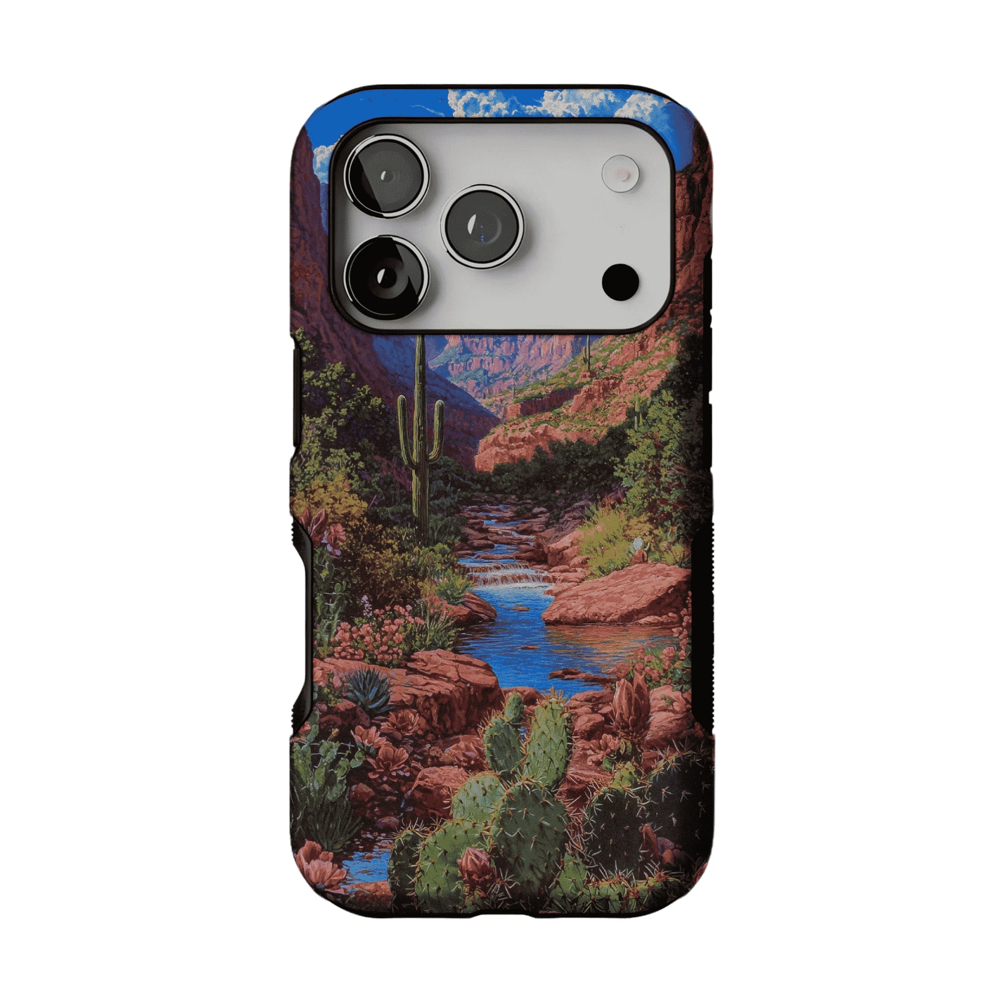 Red Rock Canyon Wild Cactus Landscape Shockproof Anti-slip iPhone Case