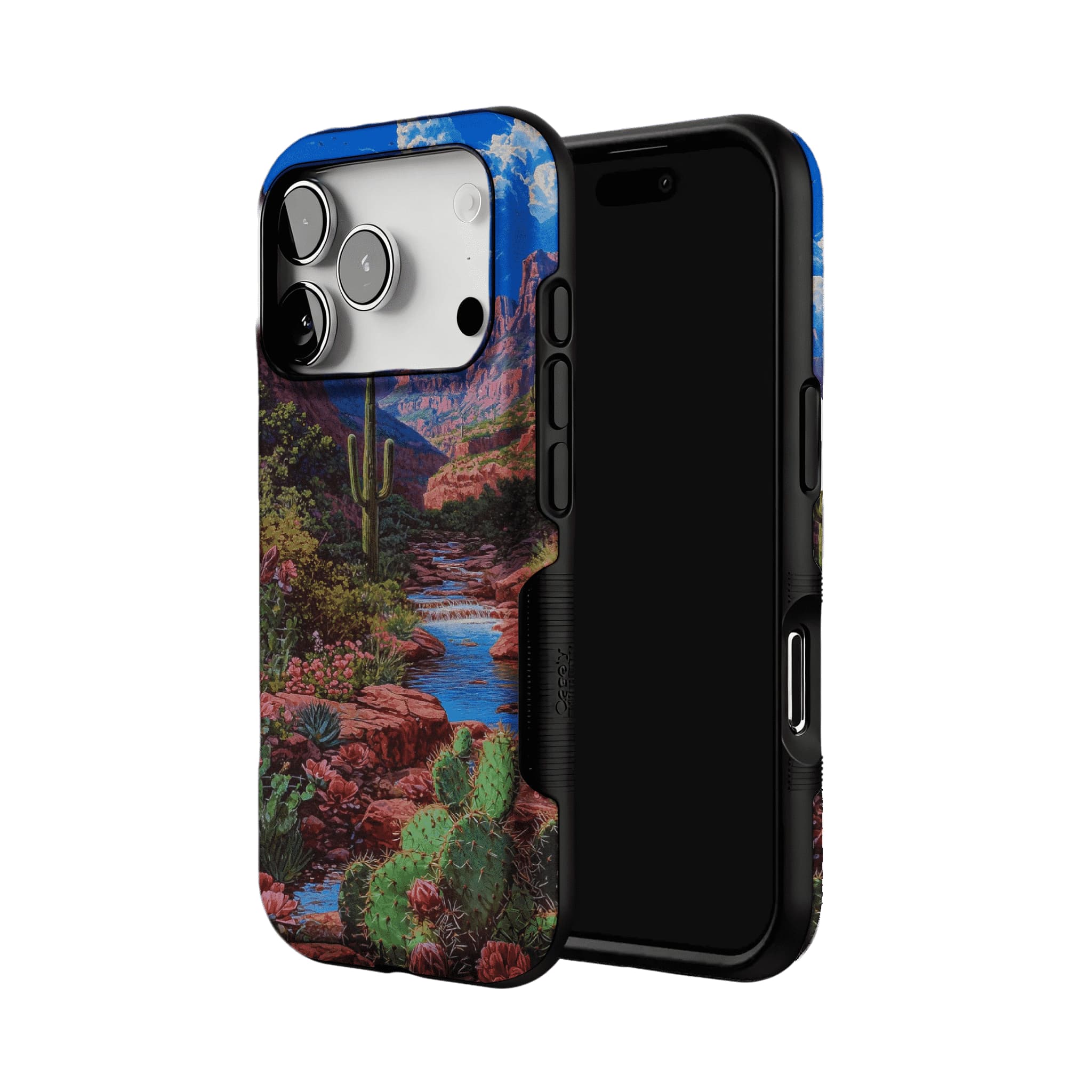Red Rock Canyon Wild Cactus Landscape Shockproof Anti-slip iPhone Case
