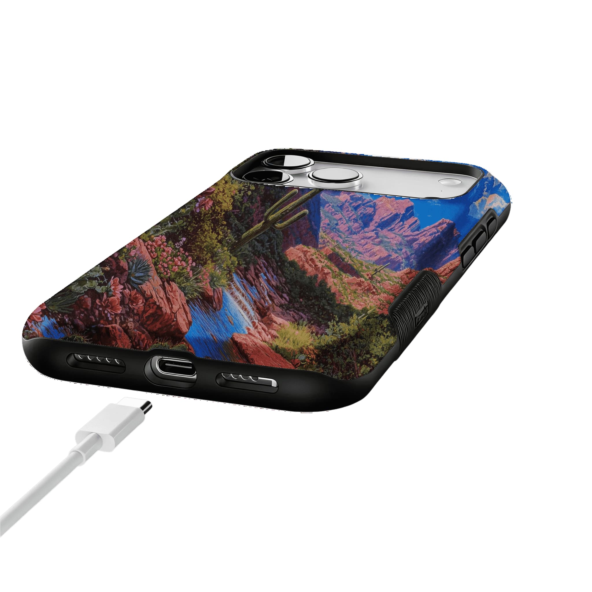 Red Rock Canyon Wild Cactus Landscape Shockproof Anti-slip iPhone Case