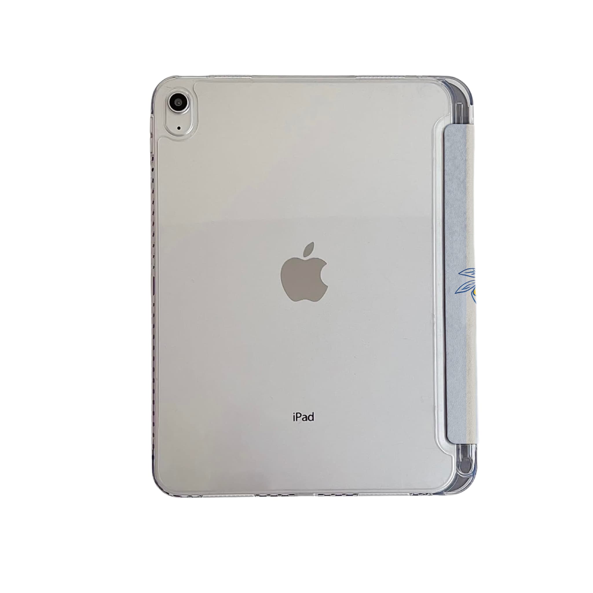 Pastel Blue Cream Stripe Italian Summer Fruit Minimal iPad Cover