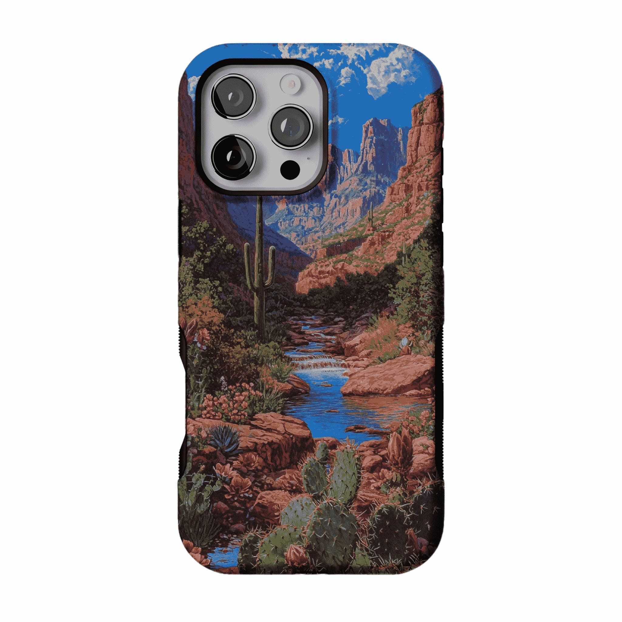 Red Rock Canyon Wild Cactus Landscape Shockproof Anti-slip iPhone Case
