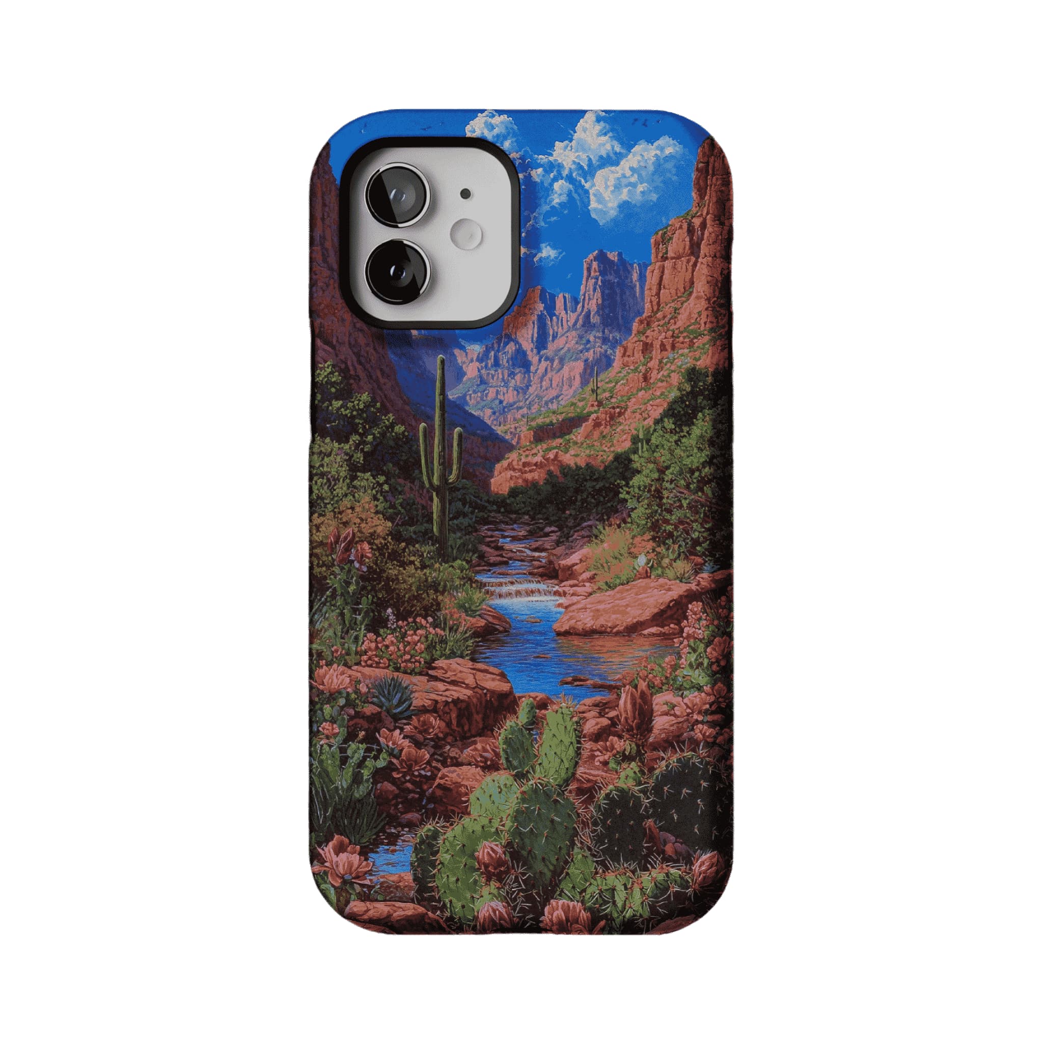 Red Rock Canyon Wild Cactus Landscape Shockproof Anti-slip iPhone Case
