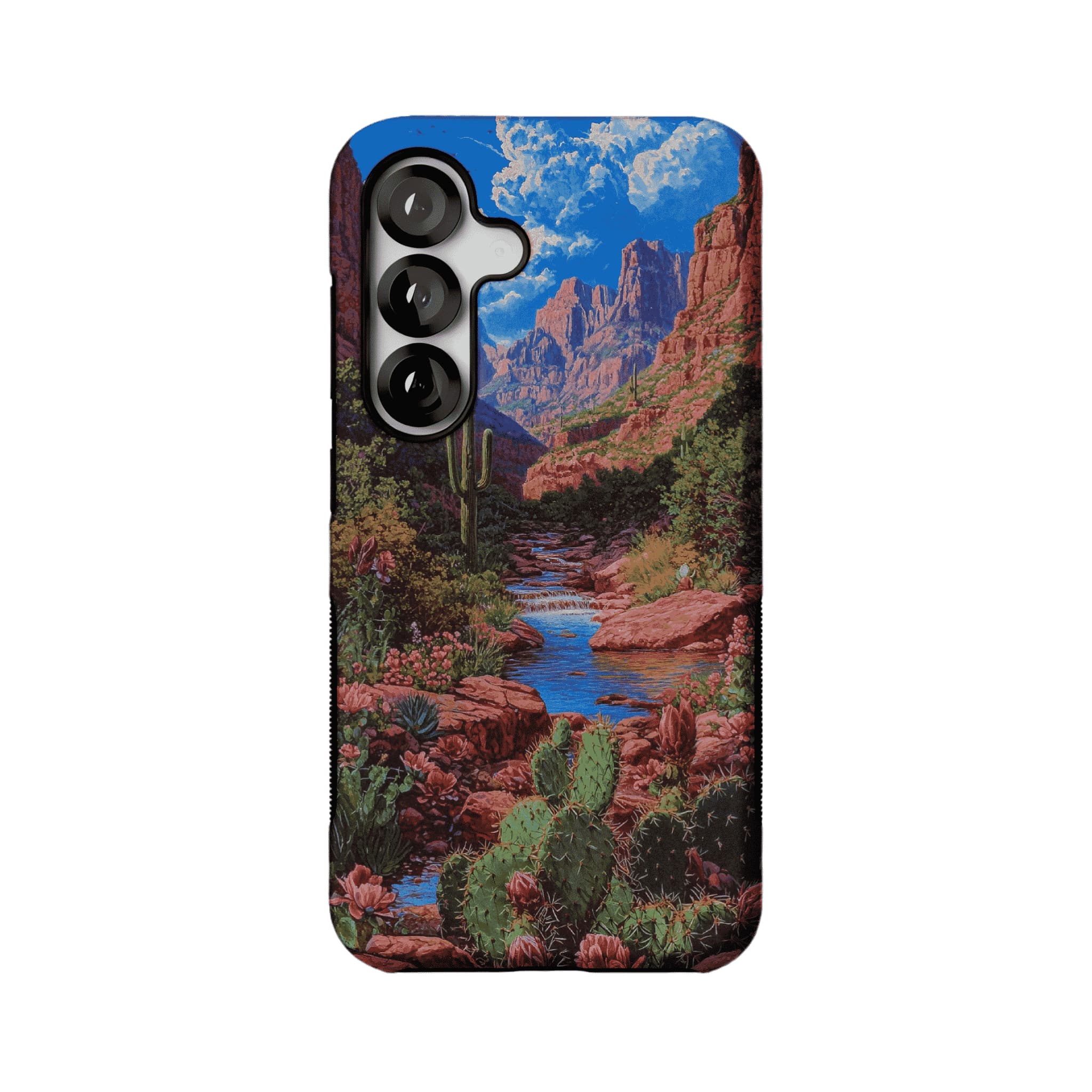 Red Rock Canyon Wild Cactus Landscape Shockproof Anti-slip iPhone Case