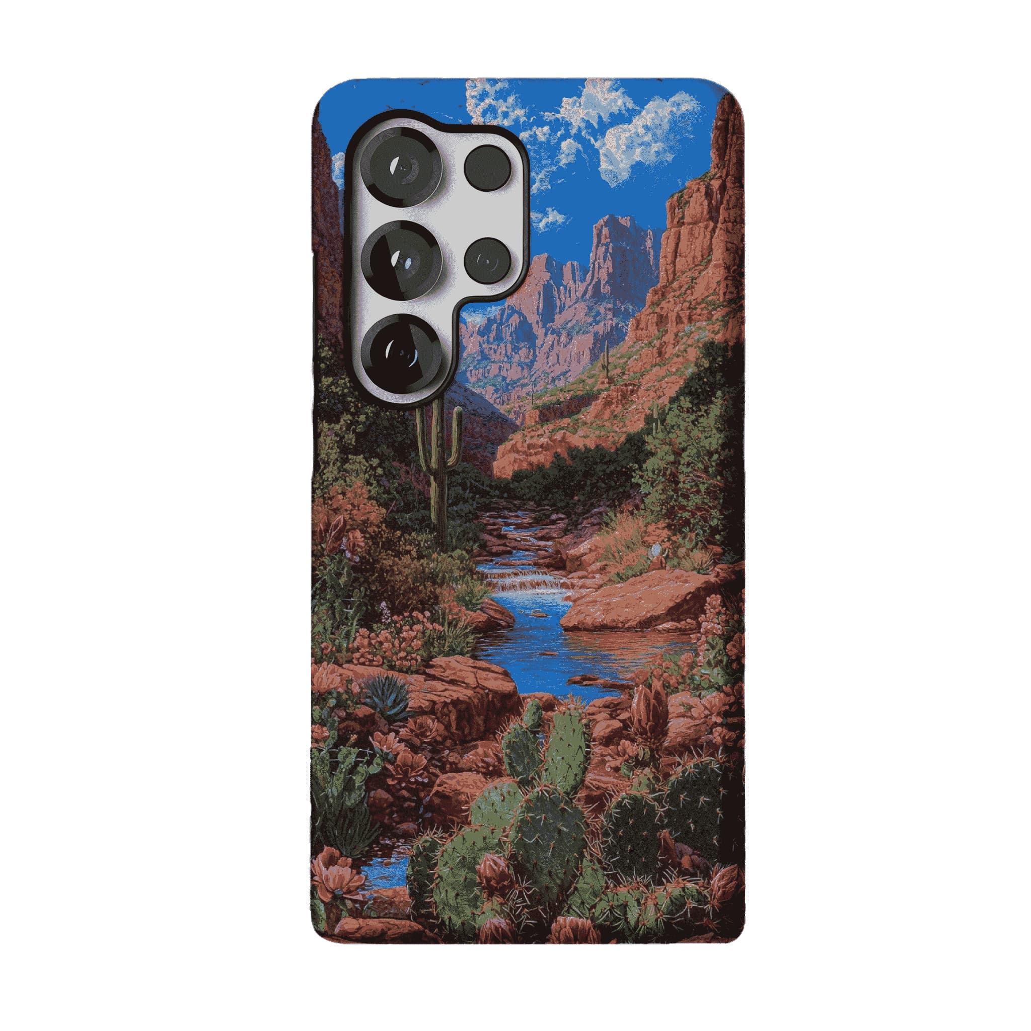 Red Rock Canyon Wild Cactus Landscape Shockproof Anti-slip iPhone Case