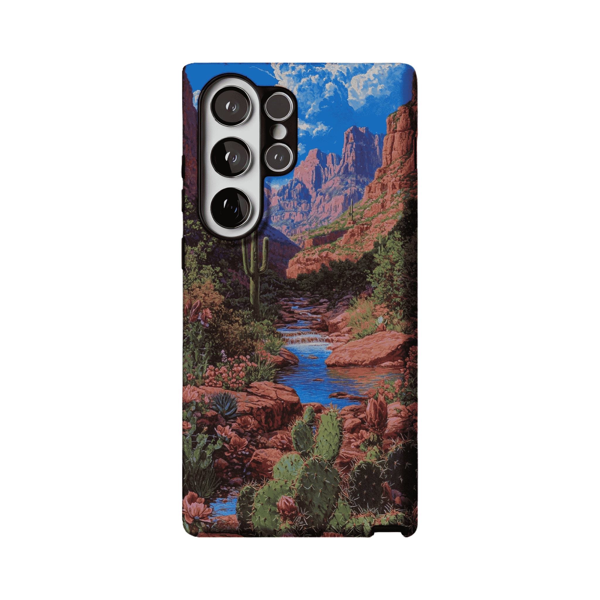 Red Rock Canyon Wild Cactus Landscape Shockproof Anti-slip iPhone Case