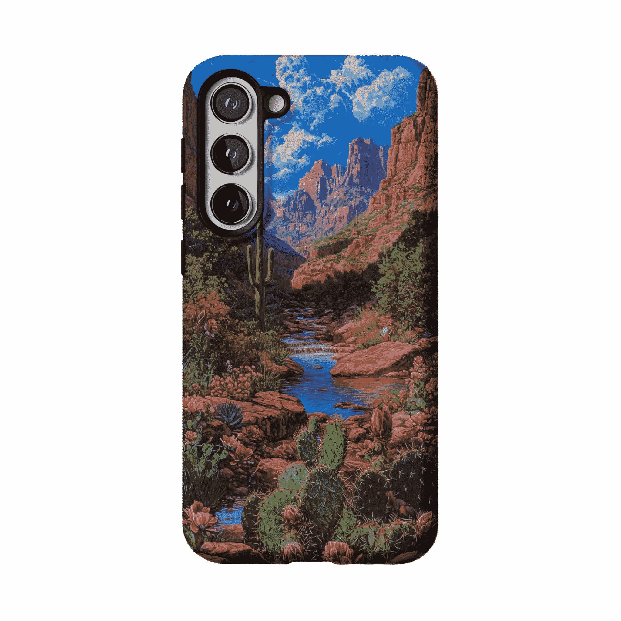 Red Rock Canyon Wild Cactus Landscape Shockproof Anti-slip iPhone Case