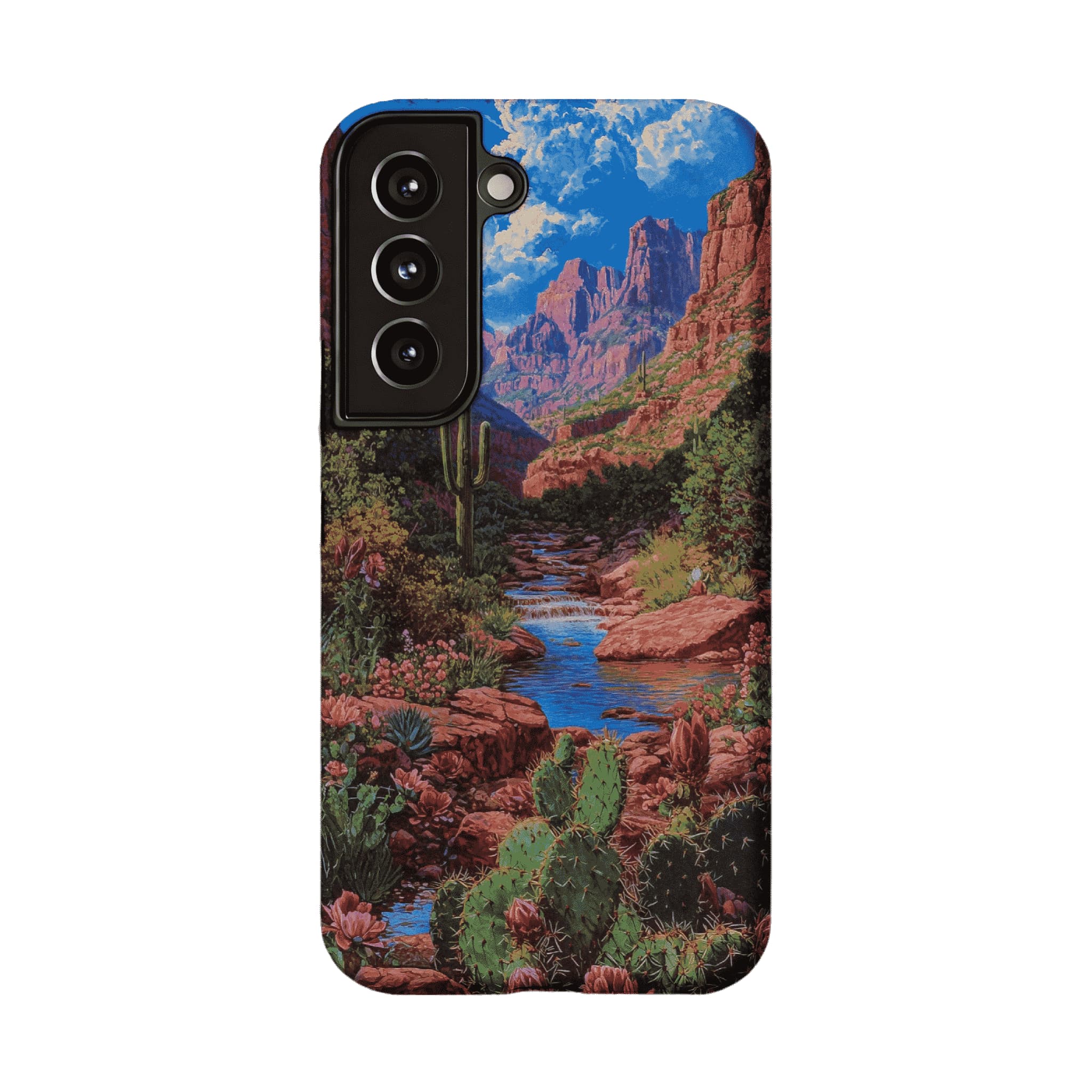 Red Rock Canyon Wild Cactus Landscape Shockproof Anti-slip iPhone Case